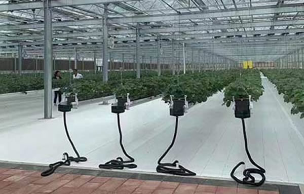 俄罗斯专享会294(中国游)官方网站